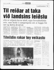 Síða 7