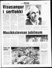 Síða 13