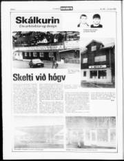 Síða 8
