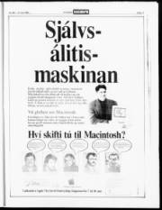 Síða 17