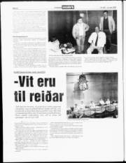 Síða 22