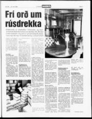 Síða 3