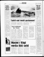 Síða 4