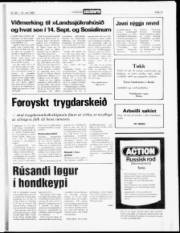 Síða 13