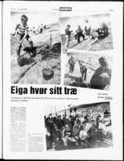 Síða 3
