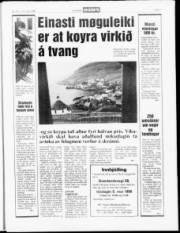 Síða 7