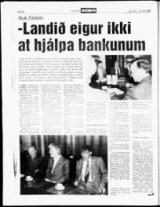 Síða 20