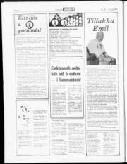 Síða 22