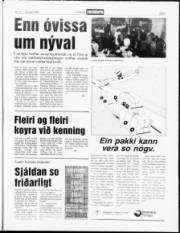 Síða 3