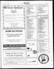 Síða 19