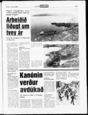 Síða 3