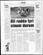 Síða 4