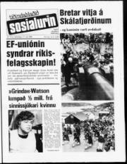 Síða 1