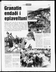 Síða 3