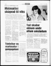 Síða 6