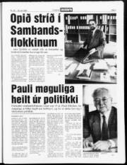 Síða 3