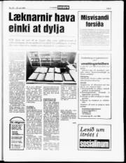 Síða 5