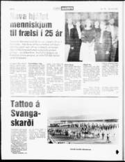Síða 6