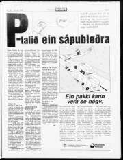 Síða 3