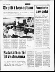 Síða 5