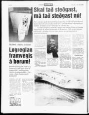 Síða 6