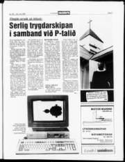 Síða 3