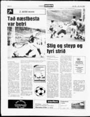 Síða 12