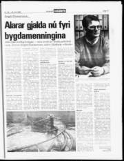 Síða 17