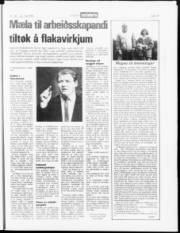 Síða 19