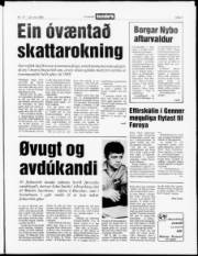 Síða 3