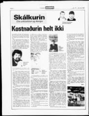 Síða 6