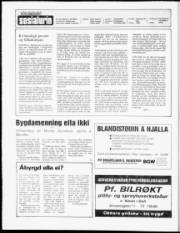 Síða 2