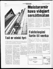 Síða 6