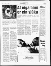 Síða 13