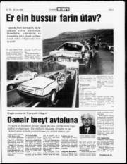 Síða 3