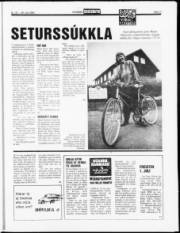 Síða 11