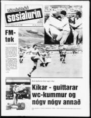 Síða 1