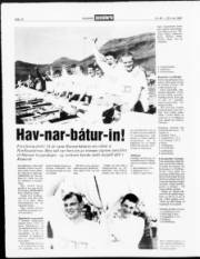 Síða 12