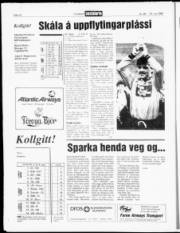 Síða 14