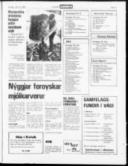 Síða 23