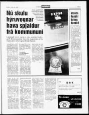 Síða 3
