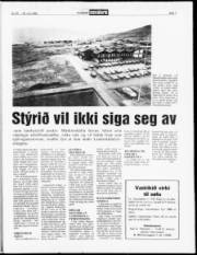 Síða 7