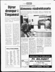 Síða 8