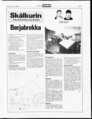 Síða 9