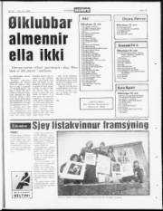 Síða 15
