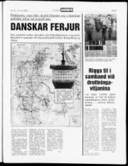 Síða 3