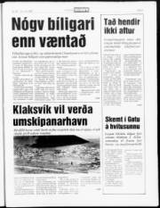 Síða 5
