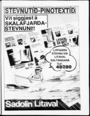 Síða 15