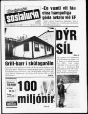 Síða 1