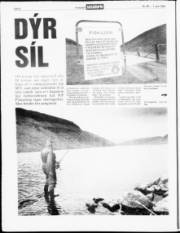 Síða 4